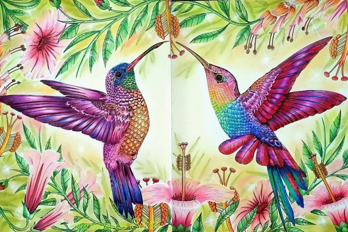 Колибри для детей