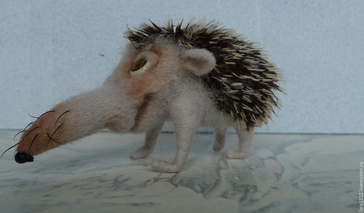 Еж Ушастый Hemiechinus auritus