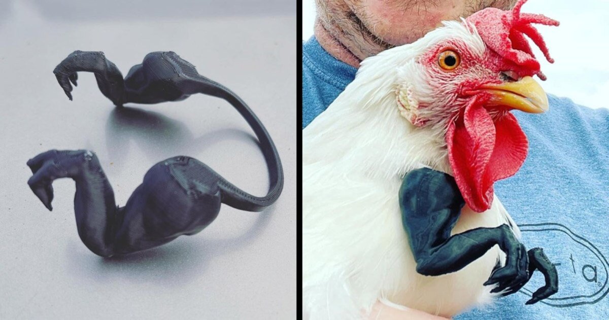 Смешная курица