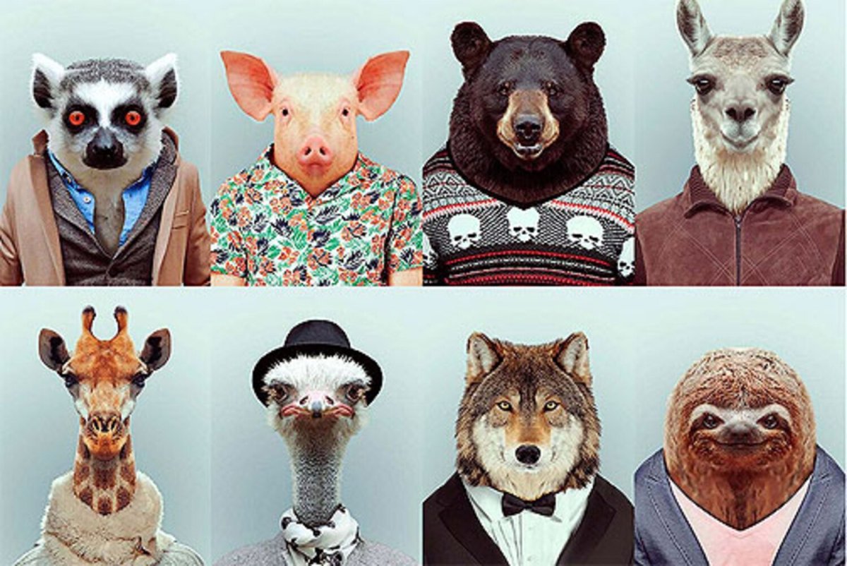 Животные в одежде