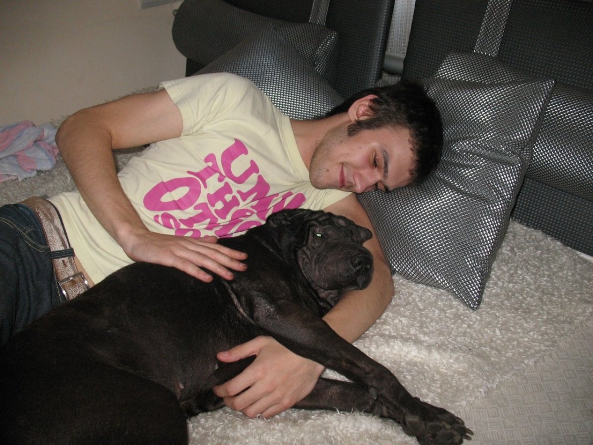 Собака Рамиля порода