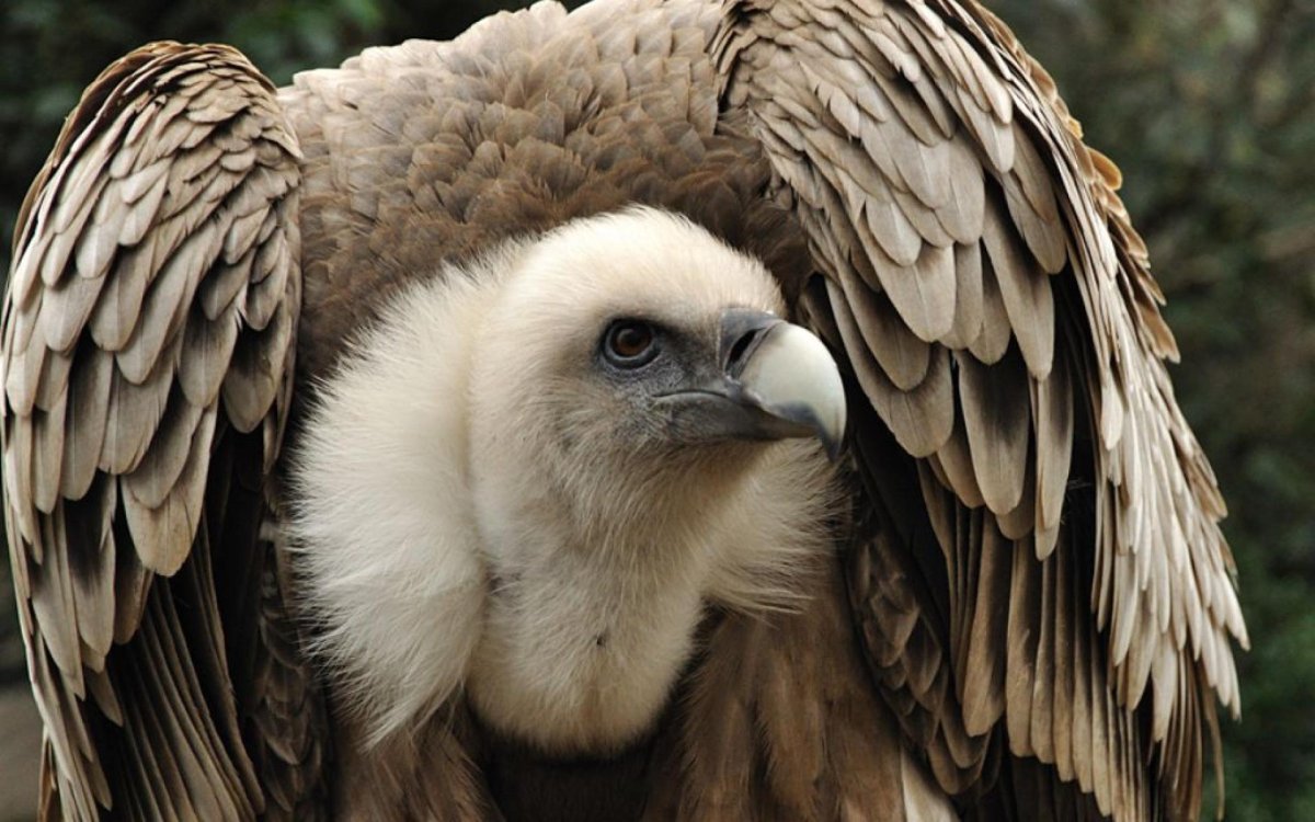 Под грифом секретно прикол