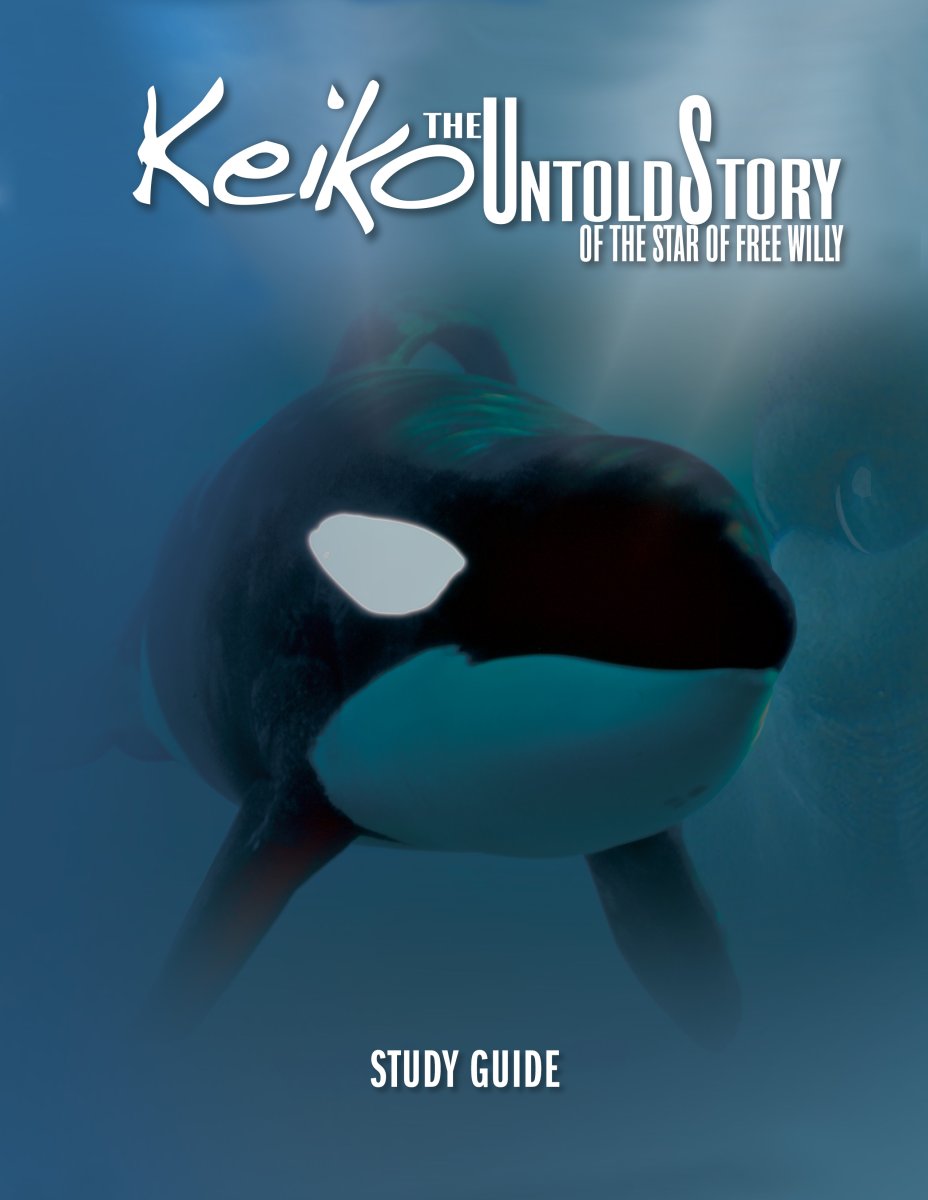 Хищные животные Касатка