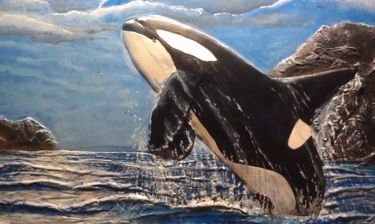 Касатка (2020) (Orca)