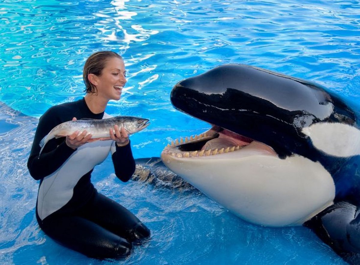 Тиликум и Дон Браншо