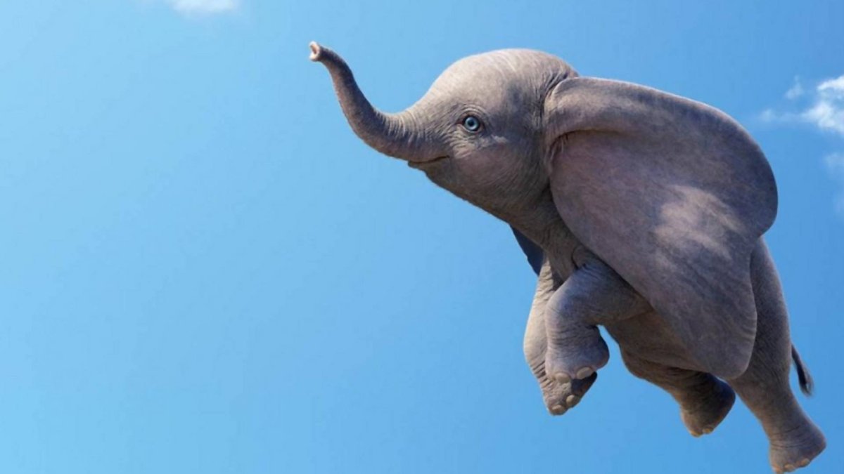 Африканский слон хвост