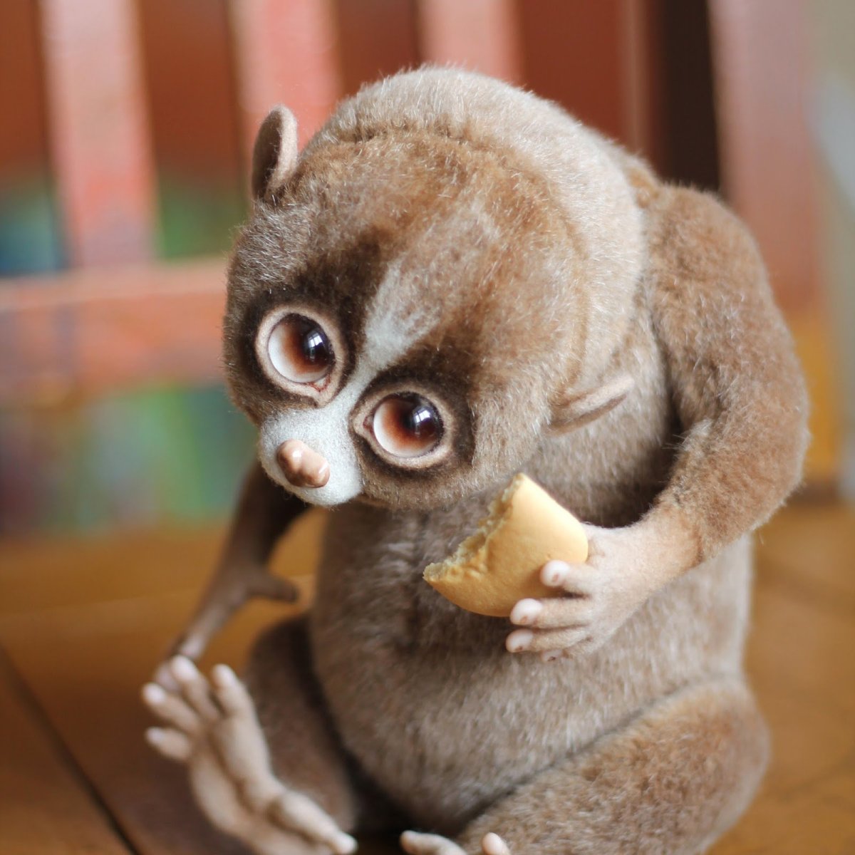 Карликовый лемур Лори