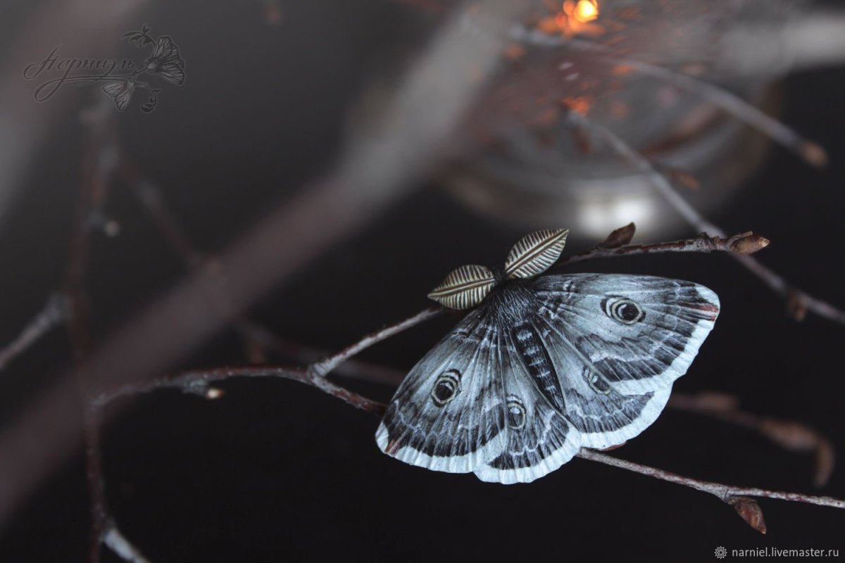 Одинокий мотылёк