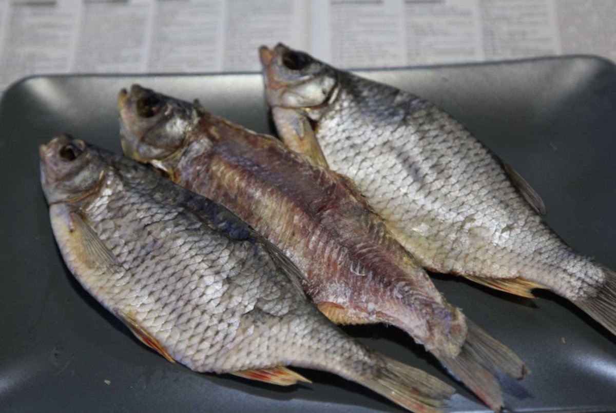 Чебак и плотва