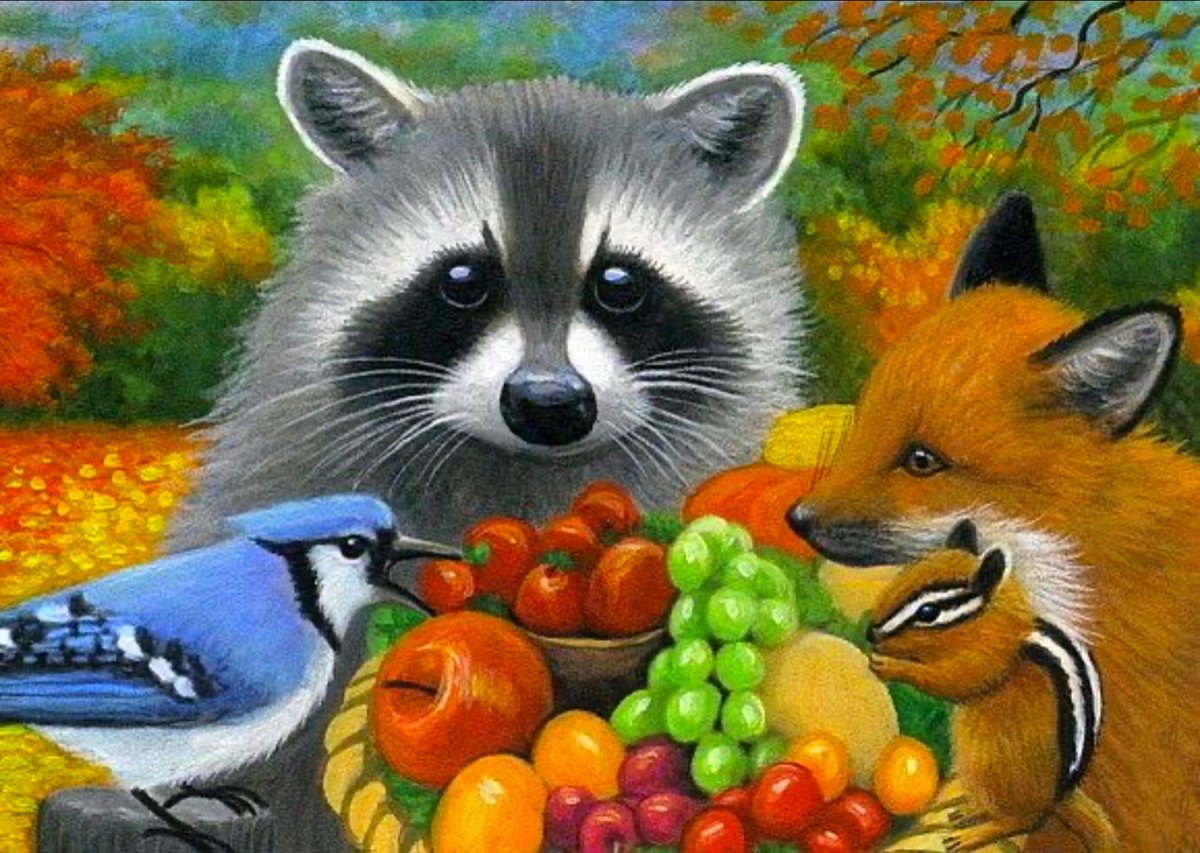 Енотик и Лисичка