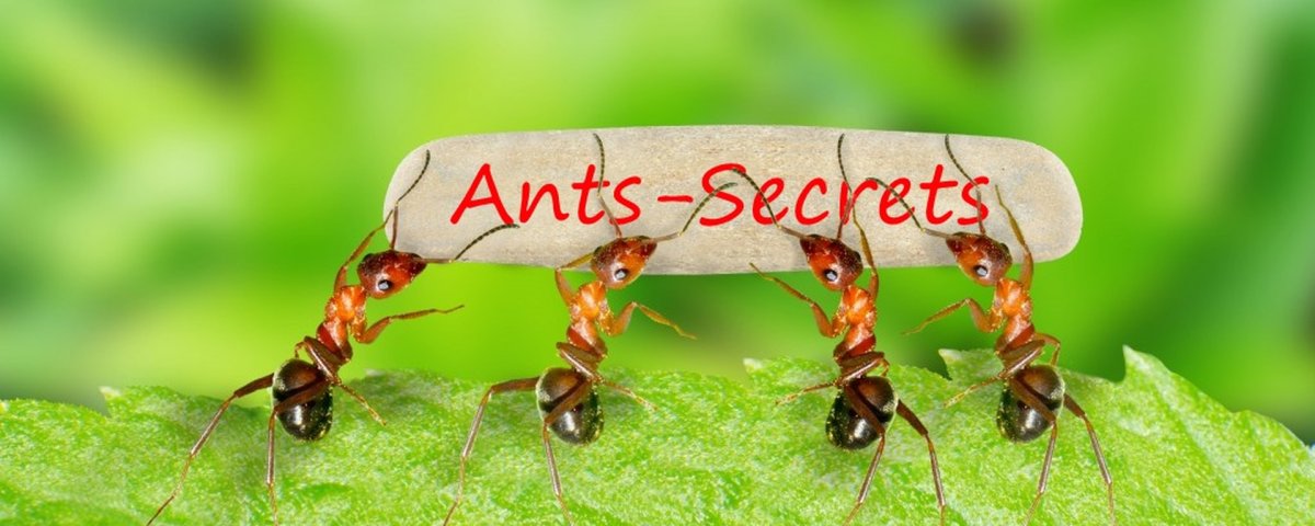 Муравей переросток