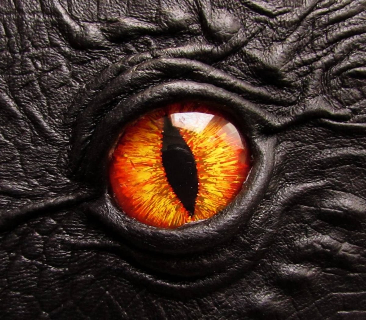 Зрачок змеи