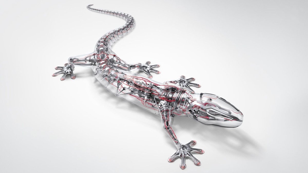 Ящерица Ауди кватро