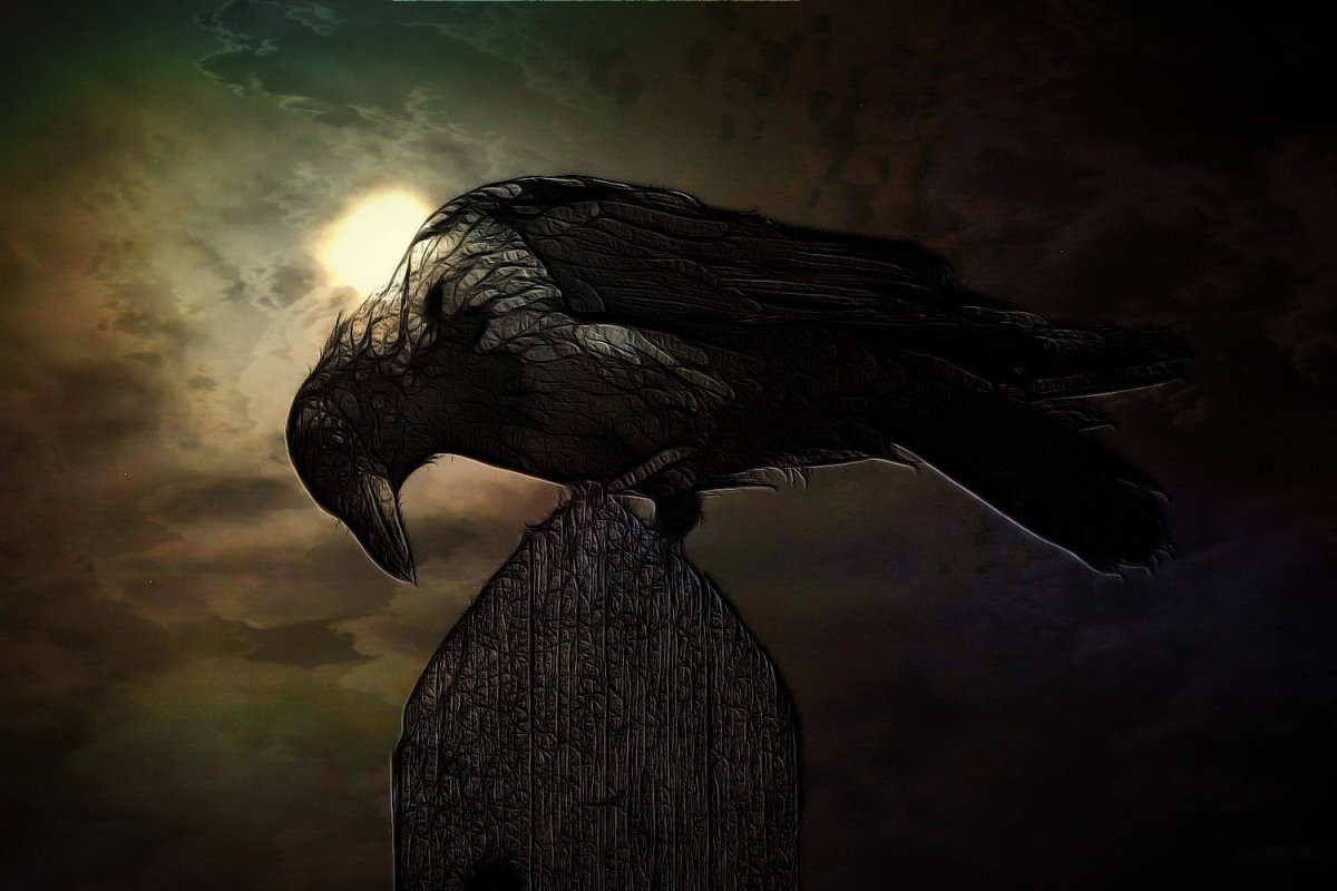 Обои на рабочий стол ворон