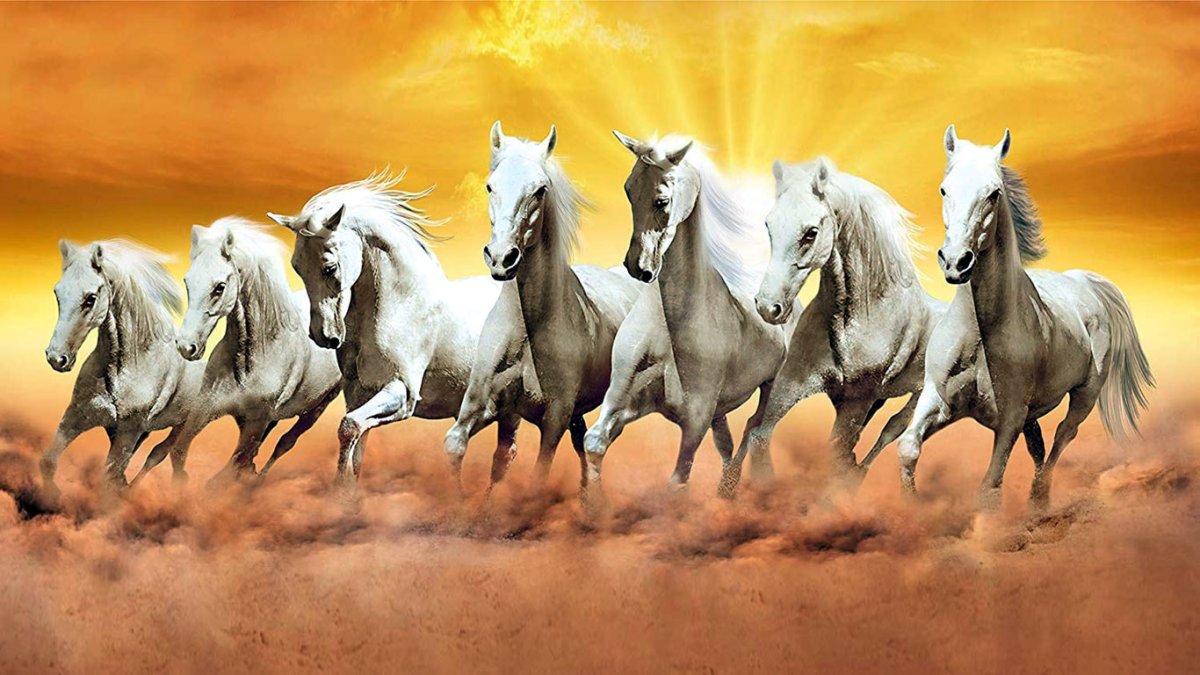 Изабелловая Ахалтекинская лошадь