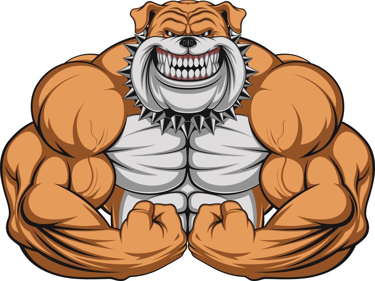 Бульдог бодибилдер