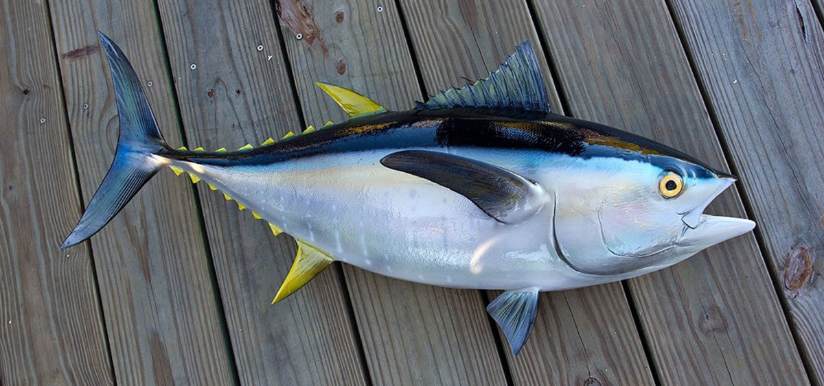 Сайка Полярная тресочка