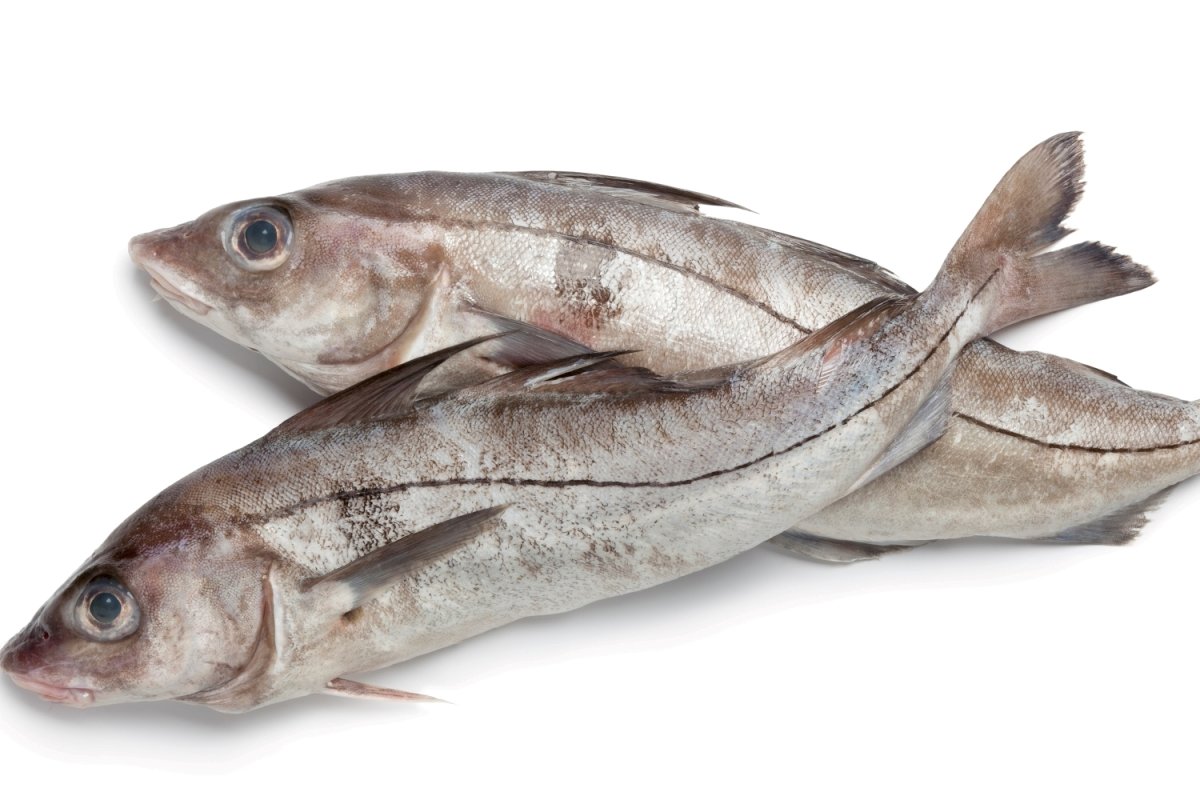 Треска минтай пикша