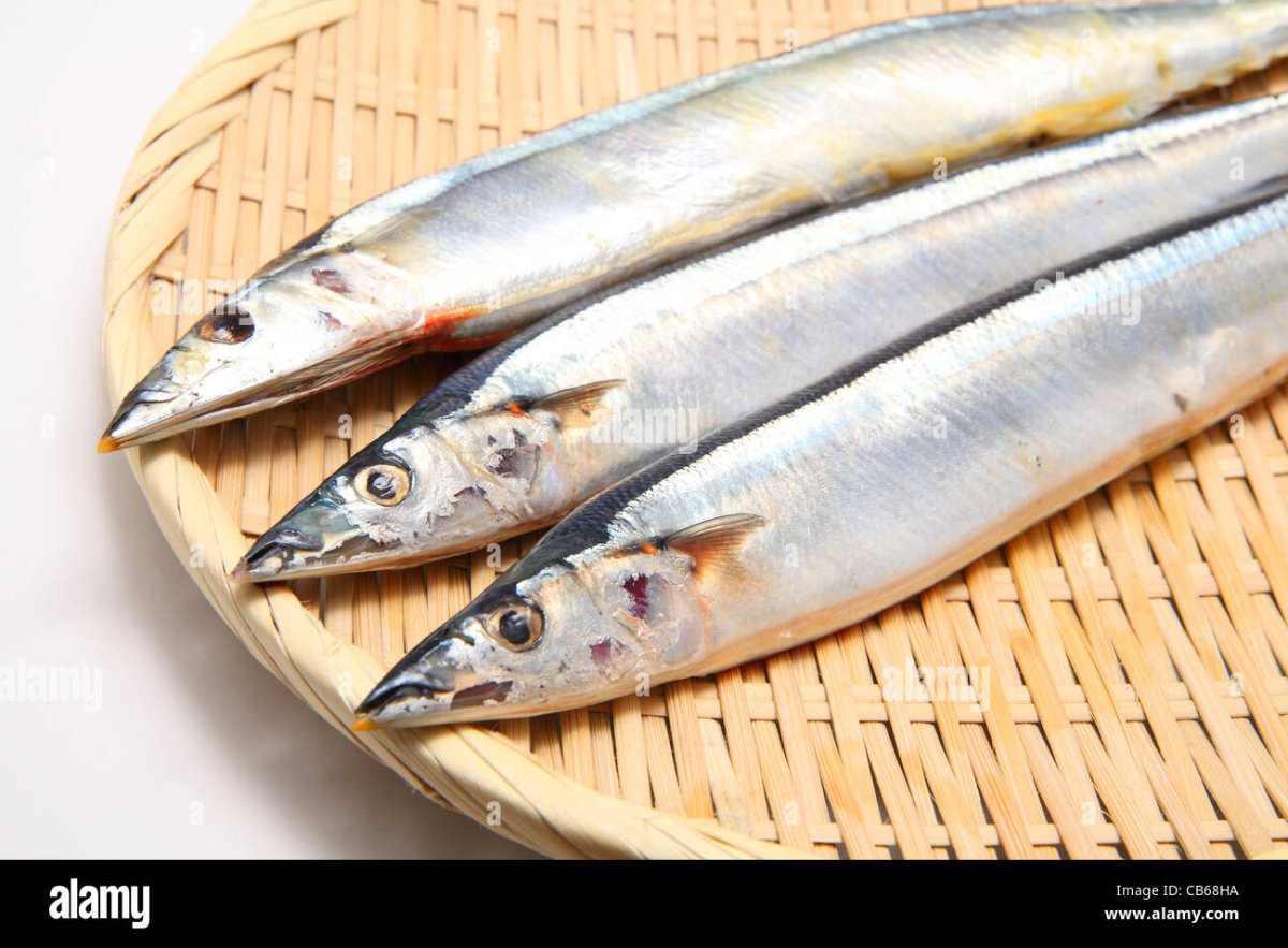 Путассу минтай навага