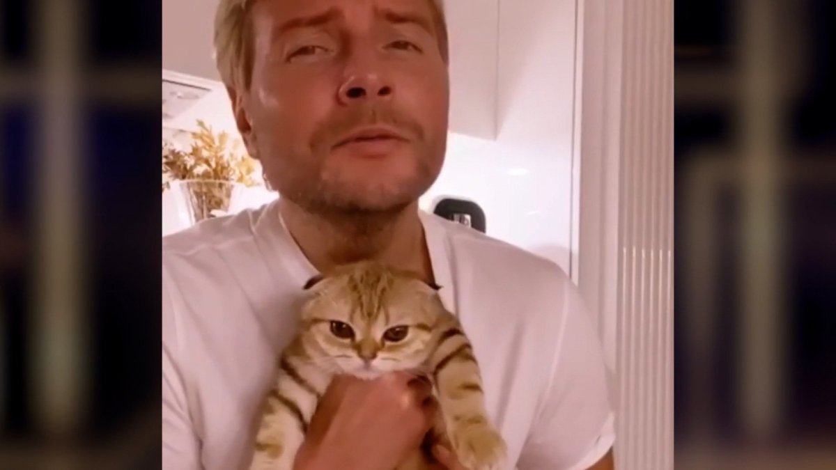 Кошка Николая Баскова Шанель