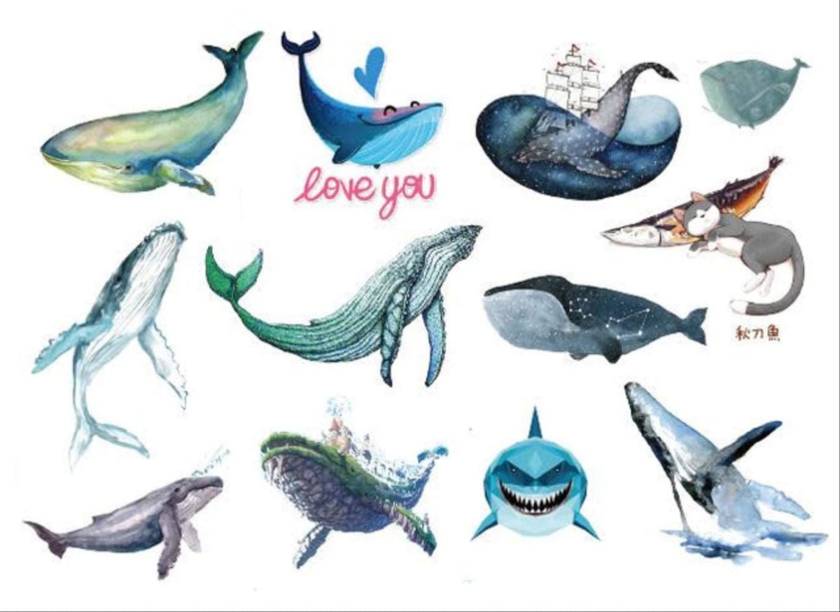 Кит размер синий кит