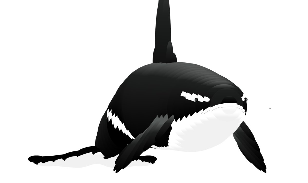 Касатка кит убийца убийца