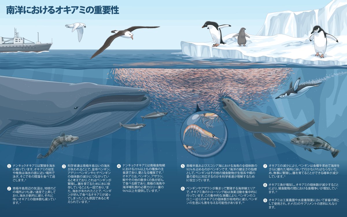 Злая Касатка