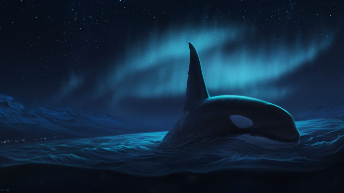 Много китов