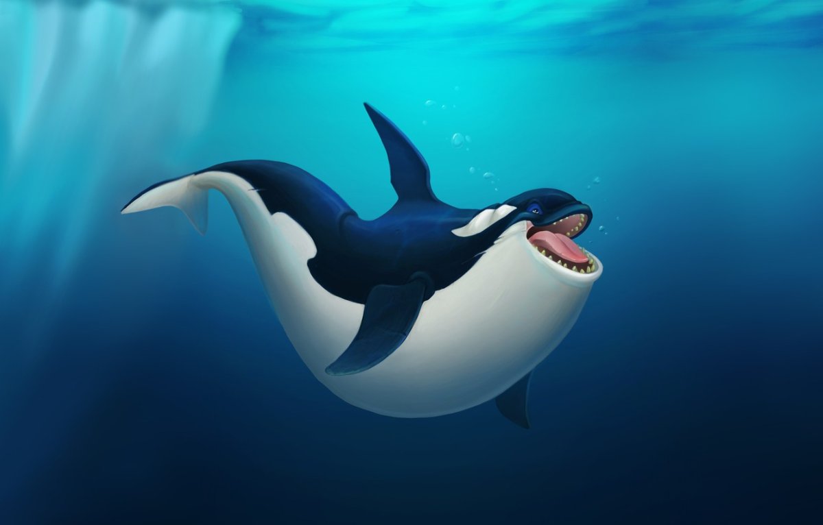 Касатка в небе