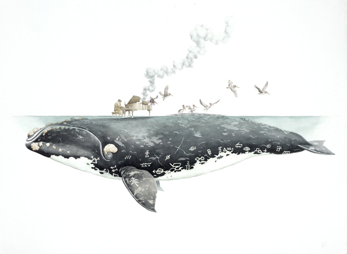 Касатка Дельфин акула