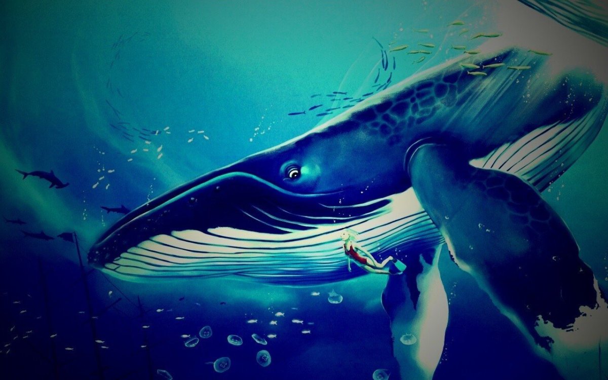 Горбач синий кит Кашалот