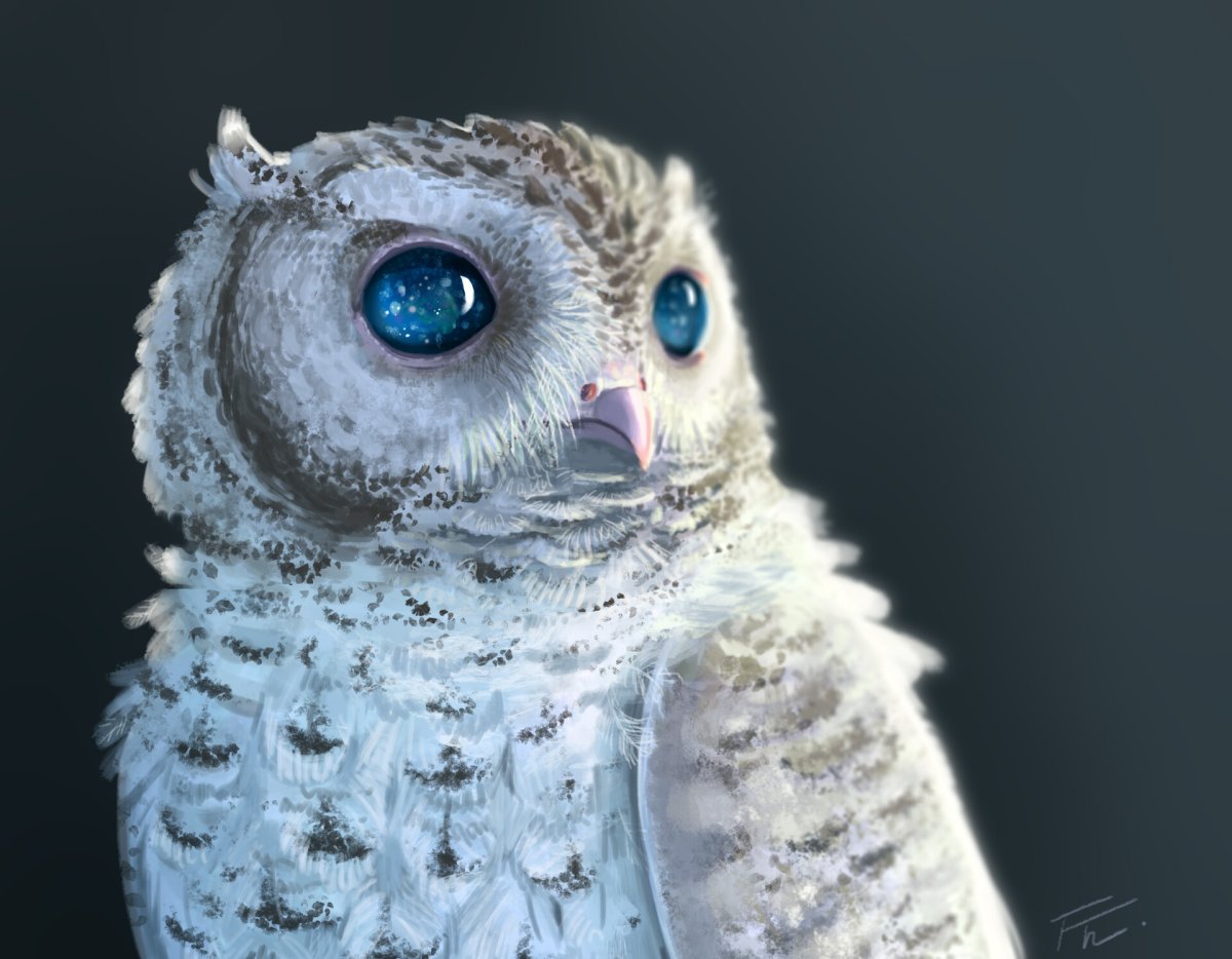 Филин фублин