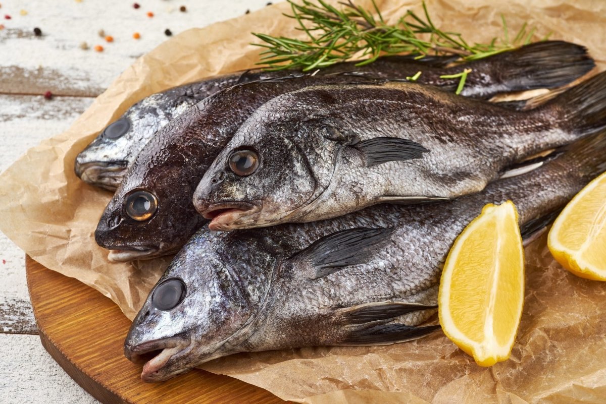 Лобань Черноморская рыба