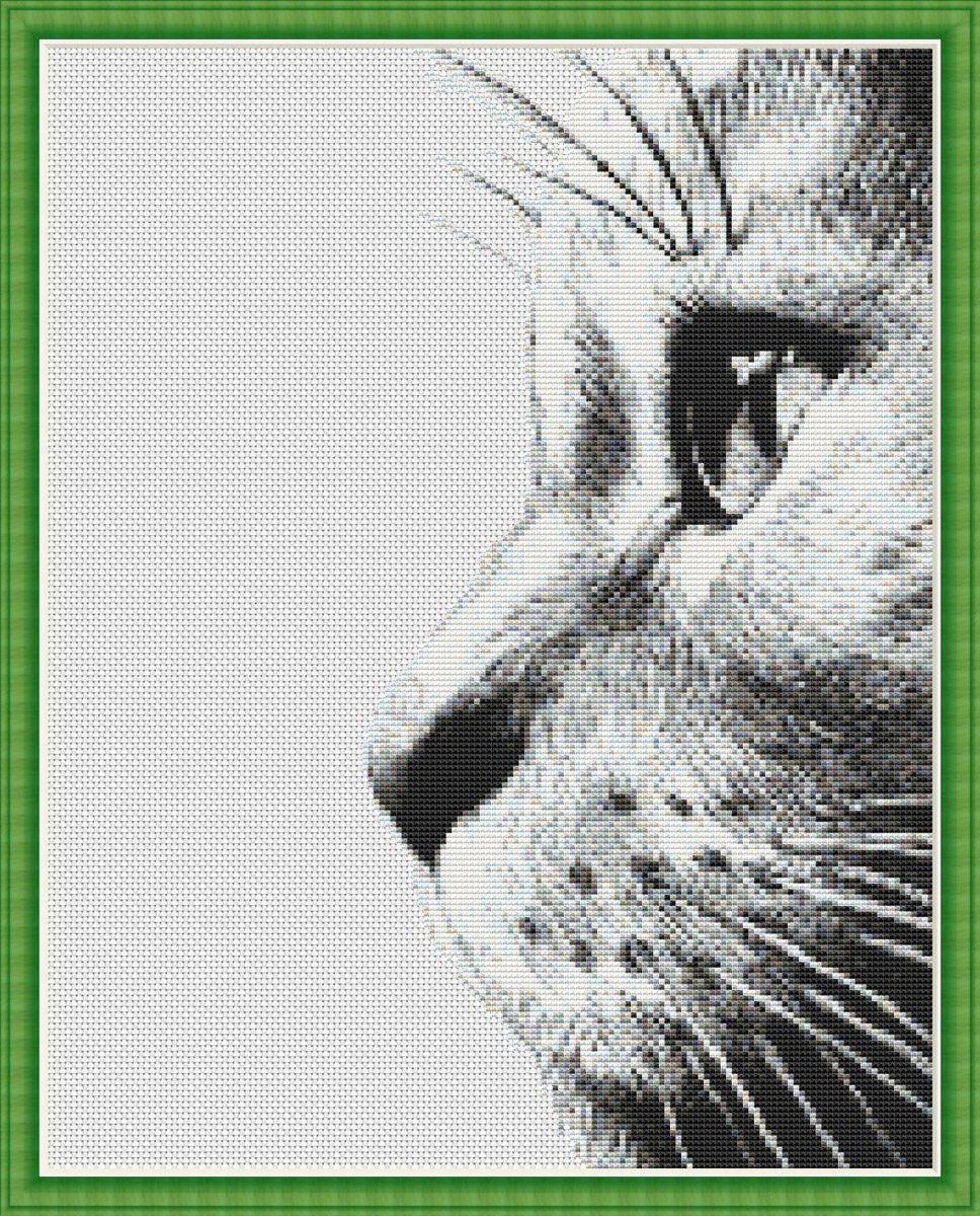 Набросок морды кота