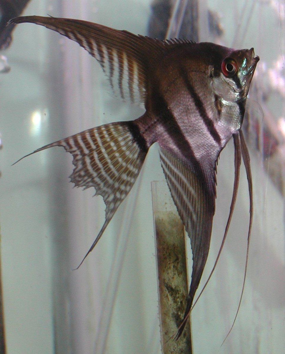 0528134004 Гидрораспределитель Bosch sb23ls