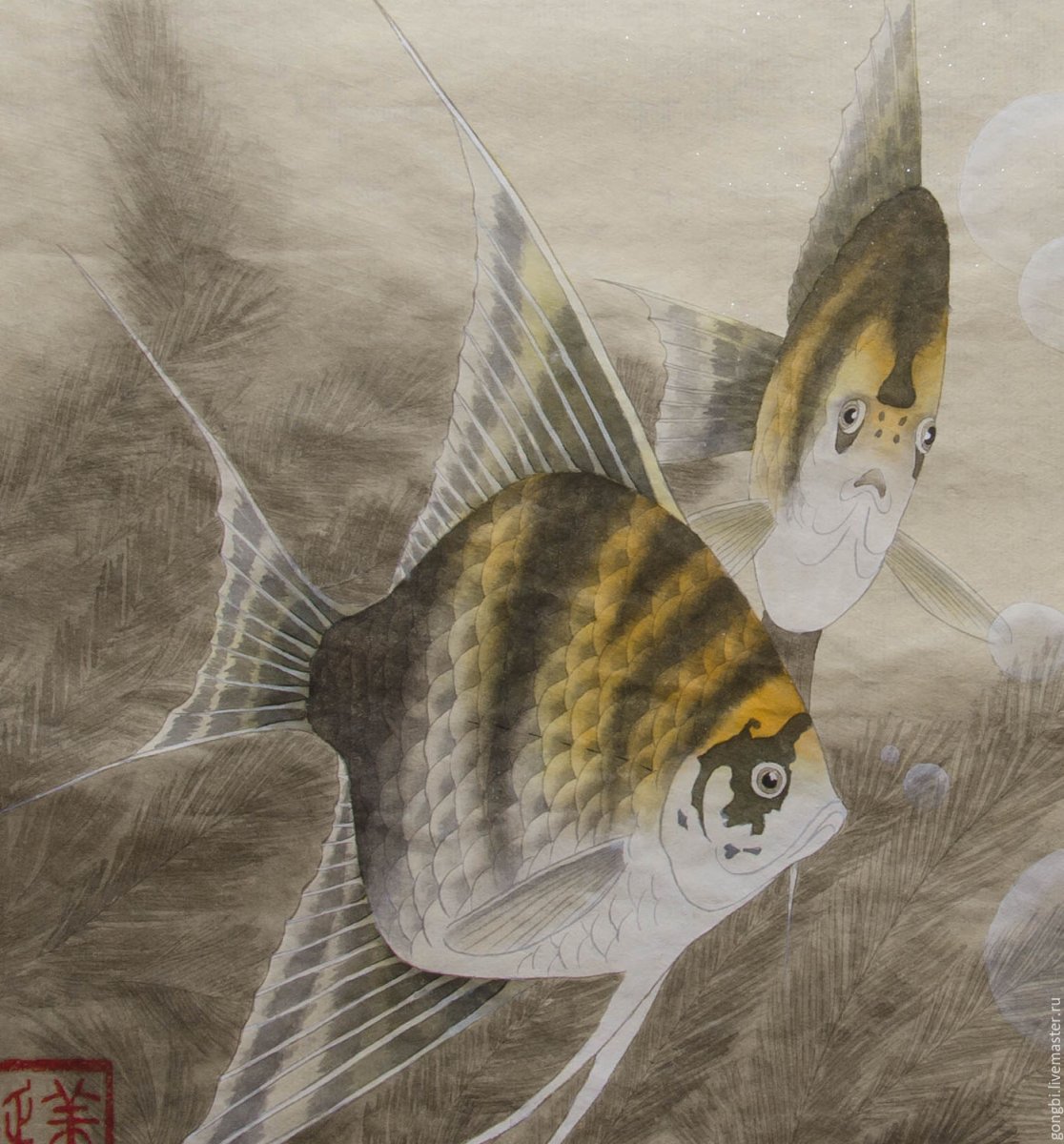 Скалярия и гурами