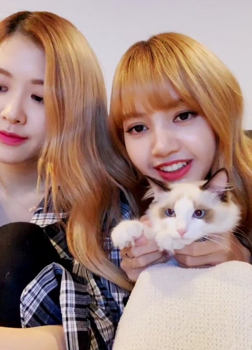 Манобан Розэ