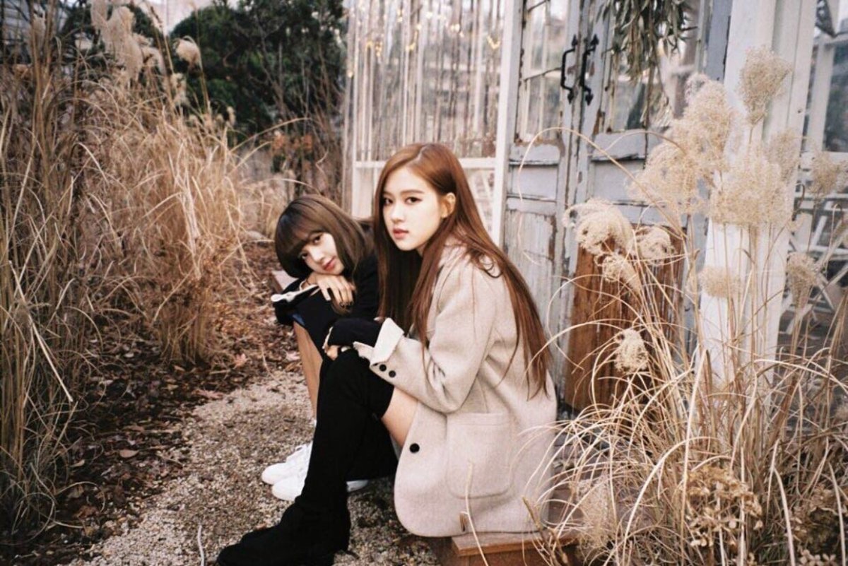 Блэк Пинк лиса и Розе