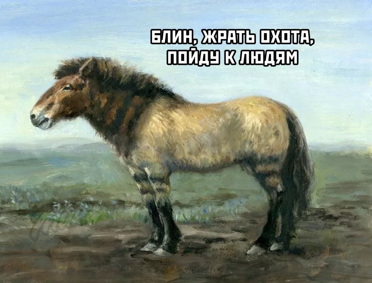 Невероятно красивые животные