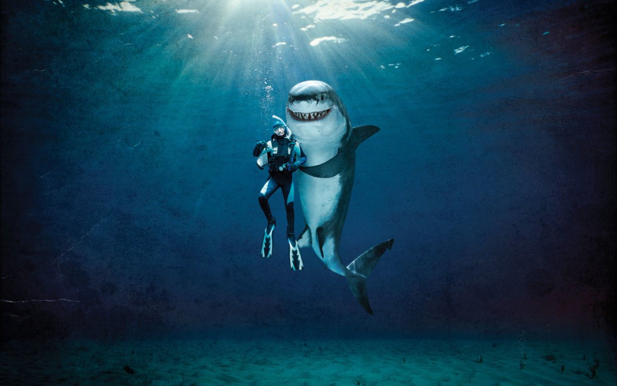 Акула выпрыгивает из воды