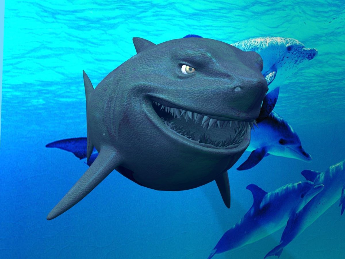 Shark 3d