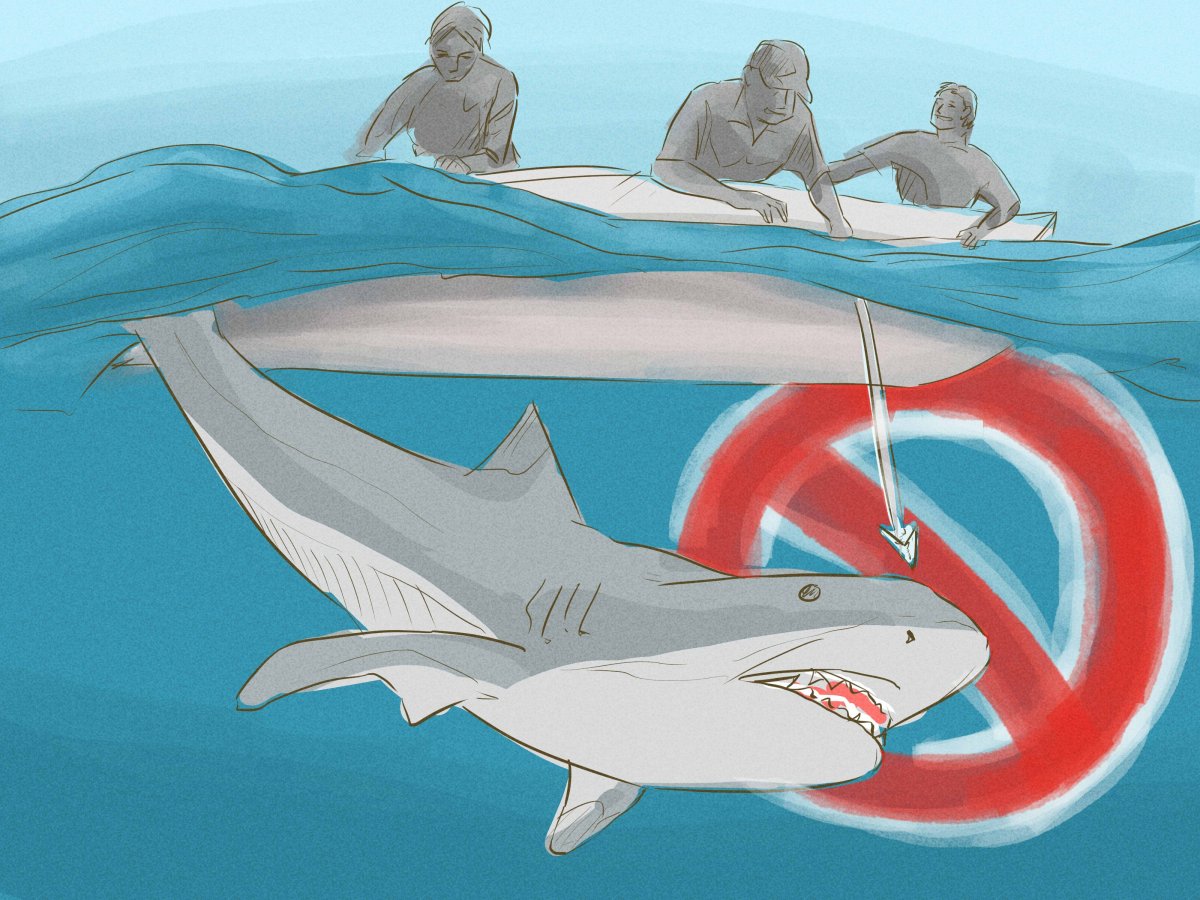 Акула для 3д печати