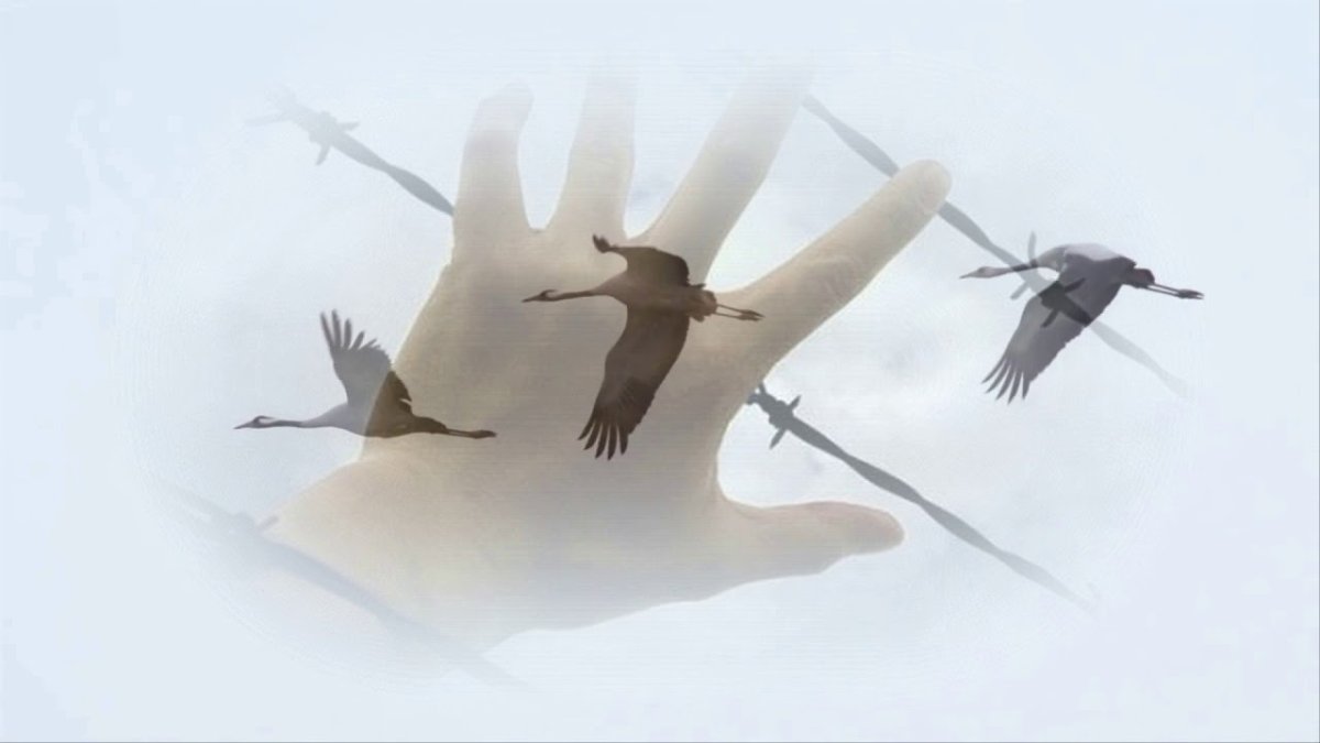 Стихотворение белые Журавли Расула Гамзатова