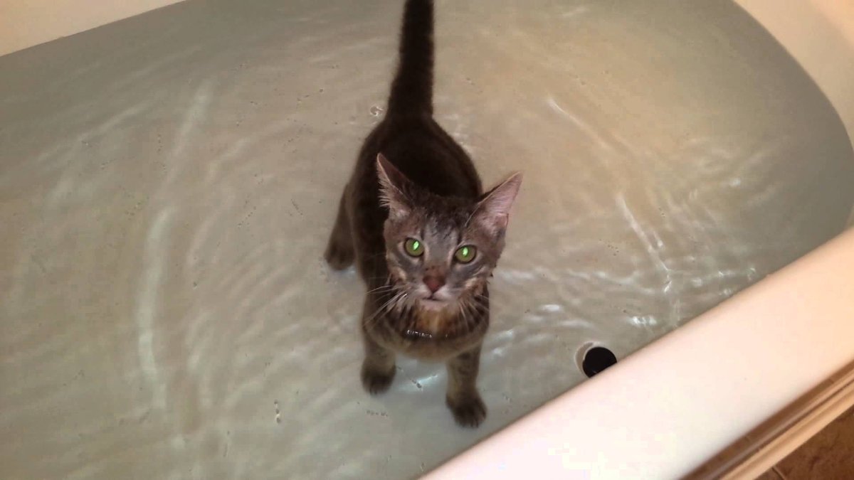 Ноги в ванной