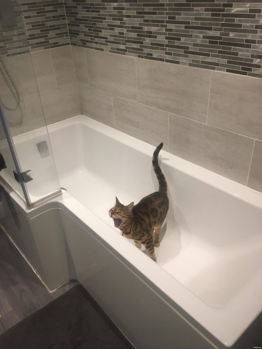 Ванная сильной и независимой женщины