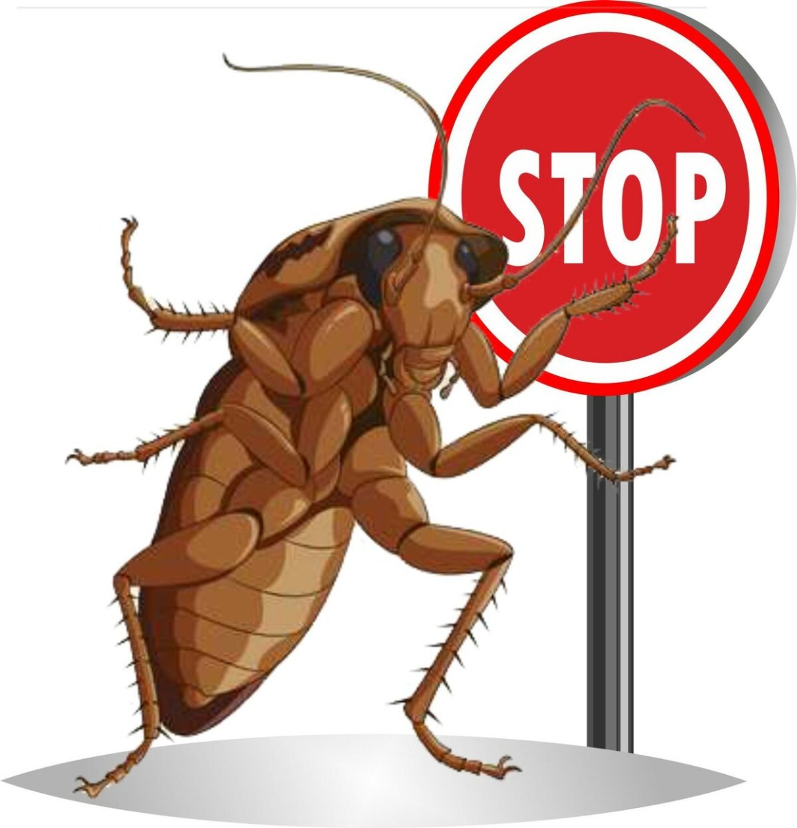 Гигантский плюшевый изопод