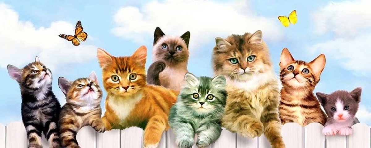 Кошки маленькие