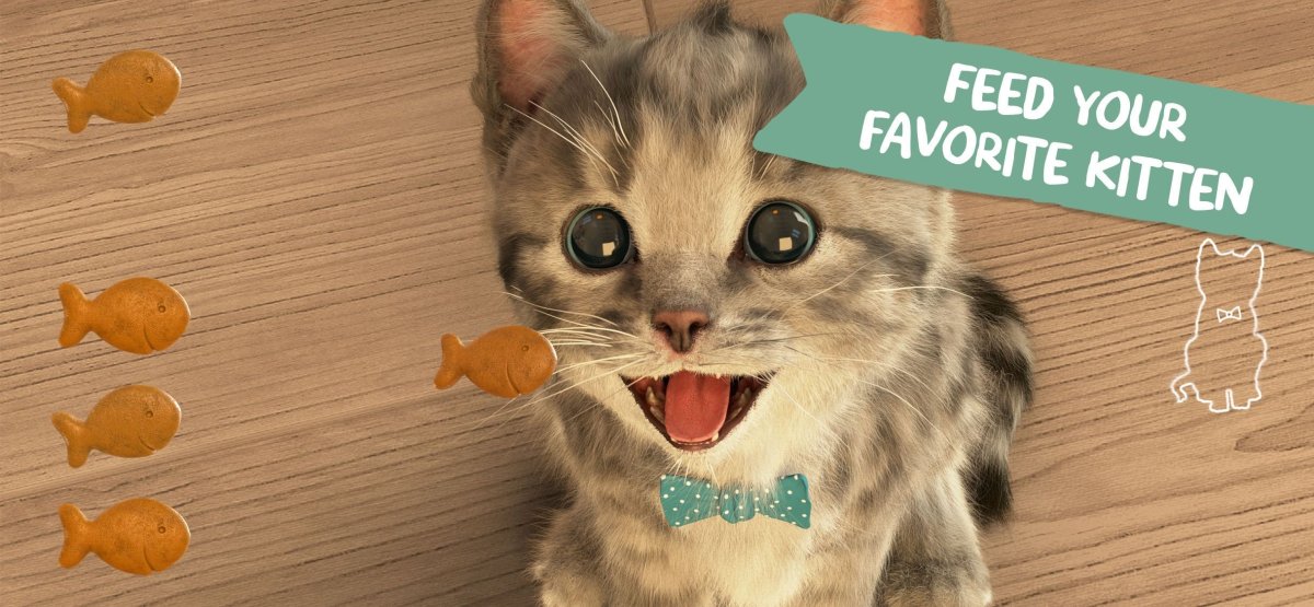 Мой маленький котенок