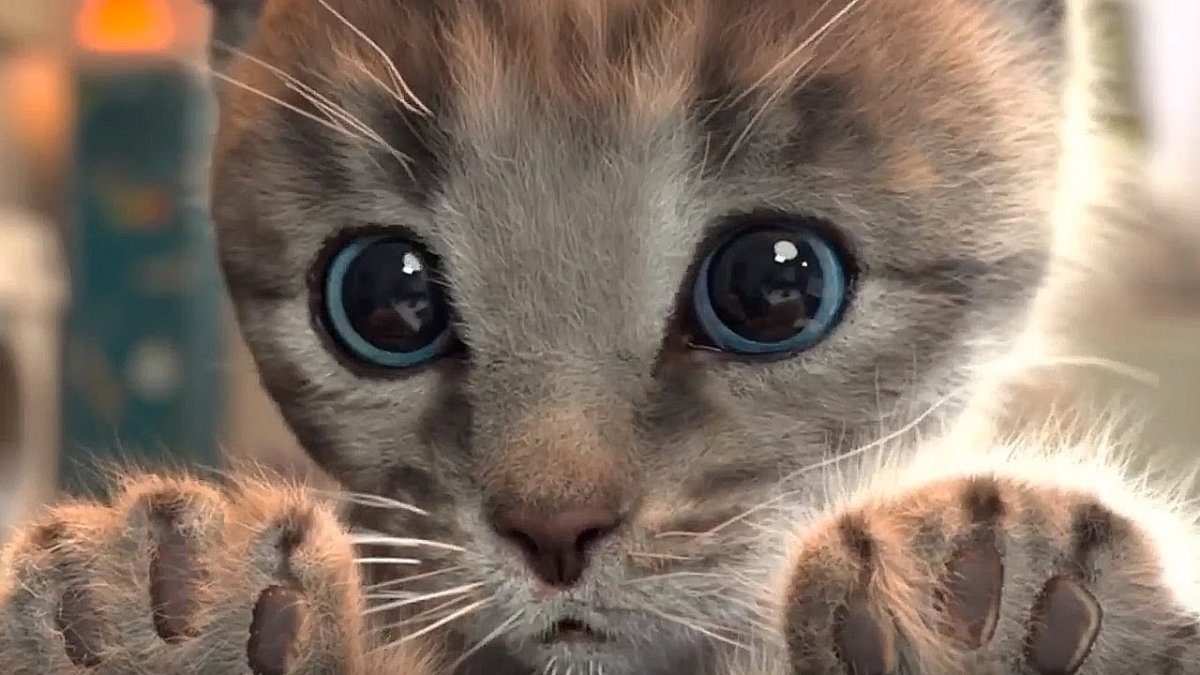 Игра little Kitten Adventures