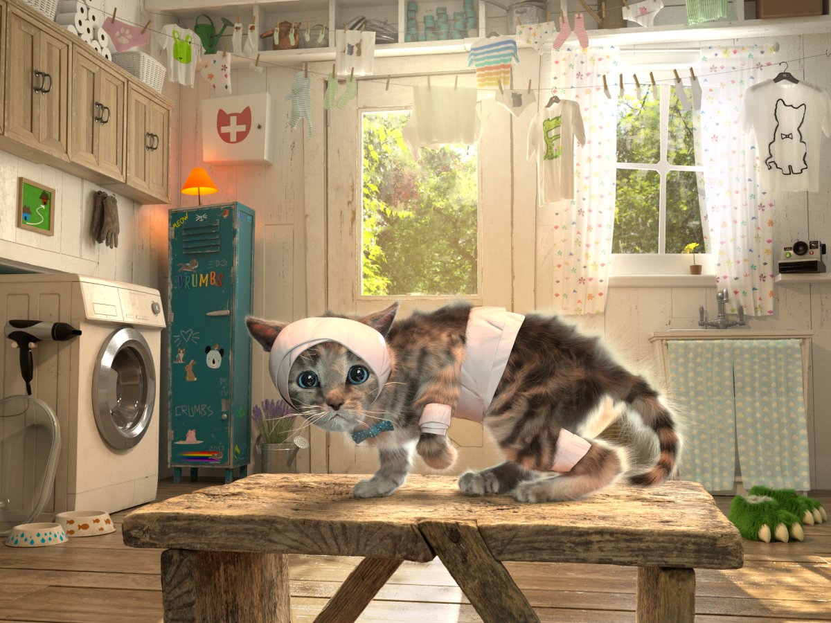 Приключения маленького котенка